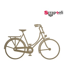 Bicicleta 9